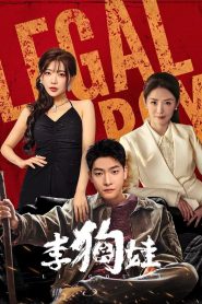 Legal Boy (2025) Episode 24 English SUB